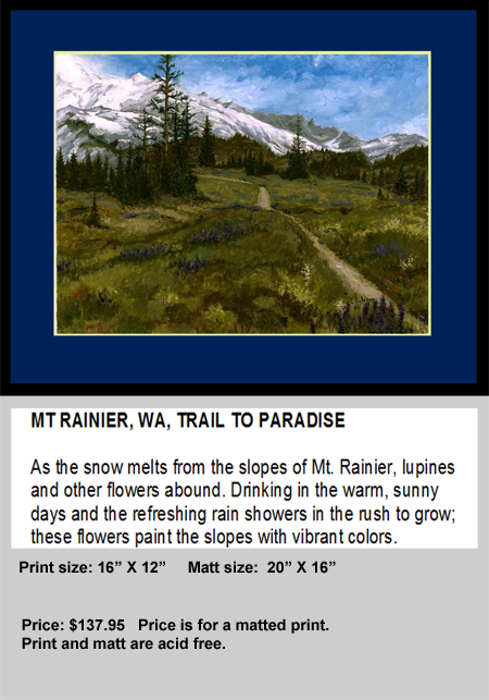 Mt Rainier Paradise
